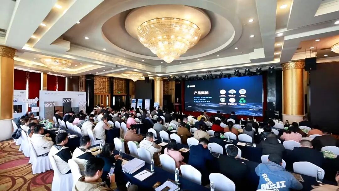 一场会议揭秘新港2026核心打法：回归本质，铸就“环保+美学”的综合价值竞争力